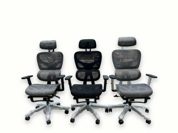 Ghế Công Thái Học CTH002